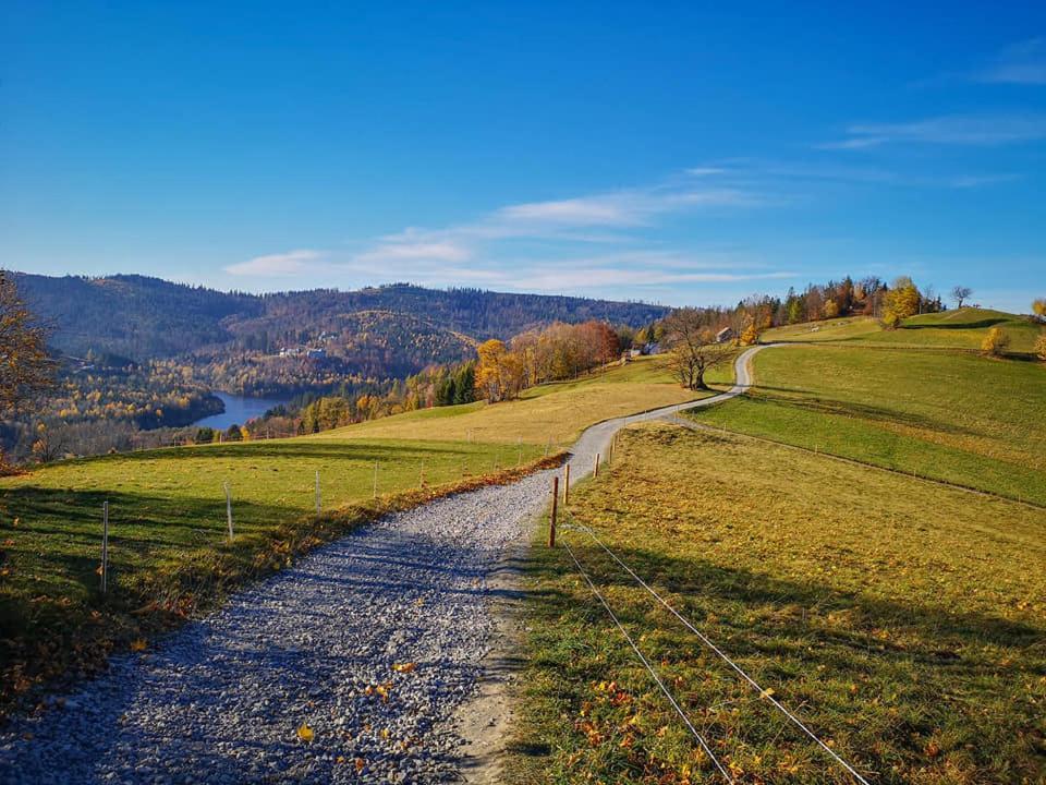 Willa Ksiezowka - Wislanka Esterno foto